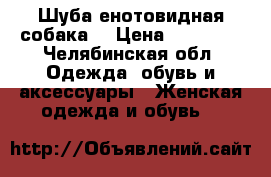 Шуба енотовидная собака  › Цена ­ 25 000 - Челябинская обл. Одежда, обувь и аксессуары » Женская одежда и обувь   